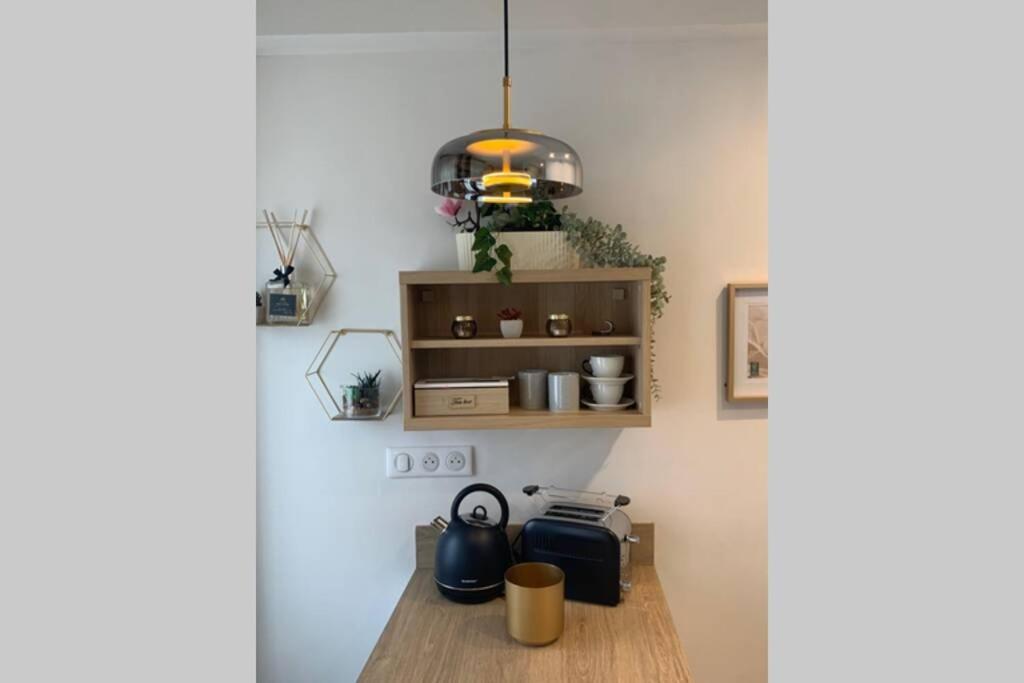 Joli Appartement Haut Standing En Hyper Centre Τουλούζη Εξωτερικό φωτογραφία